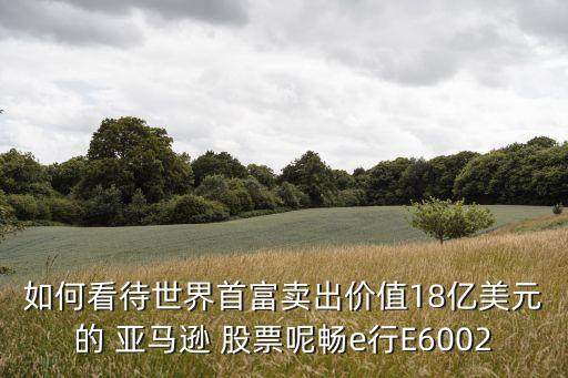 如何看待世界首富賣(mài)出價(jià)值18億美元的 亞馬遜 股票呢暢e行E6002