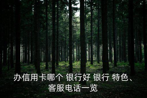 辦信用卡哪個(gè) 銀行好 銀行 特色、客服電話一覽