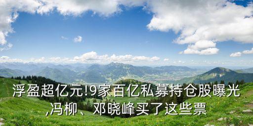 浮盈超億元!9家百億私募持倉股曝光,馮柳、鄧曉峰買了這些票