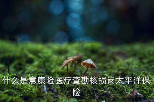 中國太?；A(chǔ)設(shè)施債權(quán),基礎(chǔ)設(shè)施債權(quán)計劃