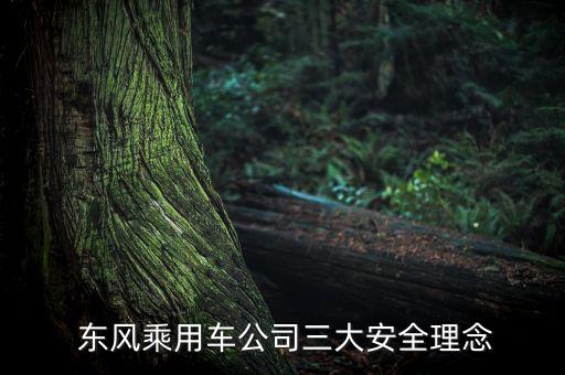  東風(fēng)乘用車(chē)公司三大安全理念