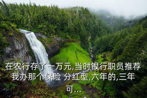 在農(nóng)行存了一萬元,當時銀行職員推薦我辦那個保險 分紅型,六年的,三年可...