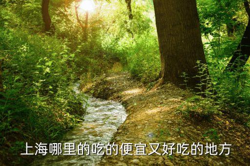 上海長發(fā)集團,長發(fā)集團簡介