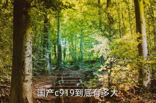 中國商用大飛機(jī)類型,大飛機(jī)c919何時商用