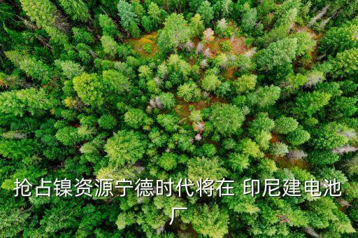 搶占鎳資源寧德時(shí)代將在 印尼建電池廠(chǎng)