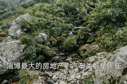  淄博最大的房地產(chǎn)、汽車類都是哪些啊