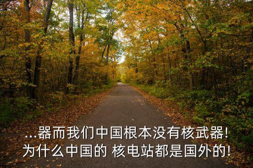 ...器而我們中國(guó)根本沒有核武器!為什么中國(guó)的 核電站都是國(guó)外的!