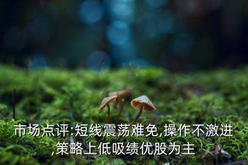市場點(diǎn)評(píng):短線震蕩難免,操作不激進(jìn),策略上低吸績優(yōu)股為主
