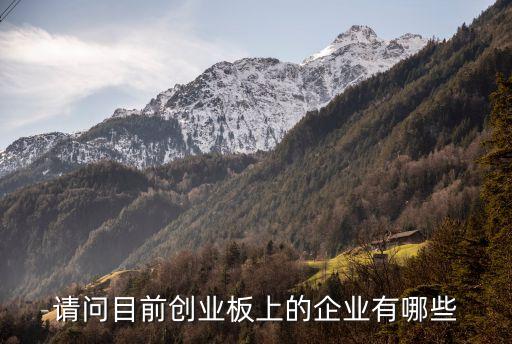 請(qǐng)問(wèn)目前創(chuàng)業(yè)板上的企業(yè)有哪些