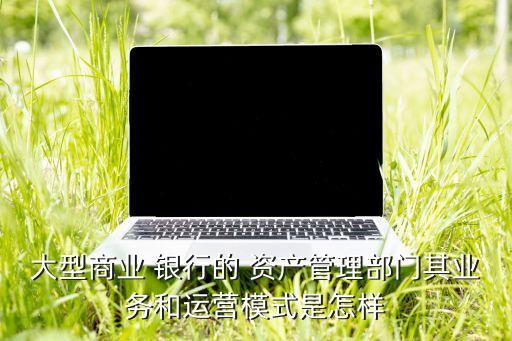 銀行理財(cái)資產(chǎn)管理系統(tǒng)開(kāi)發(fā),銀行資產(chǎn)管理系統(tǒng)主要做什么