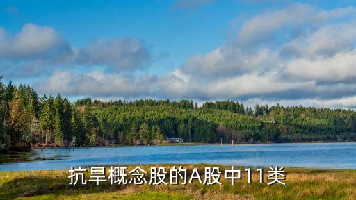 抗旱概念股的A股中11類(lèi)