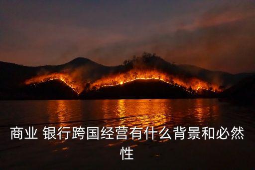 國(guó)際化銀行應(yīng)具備的特征
