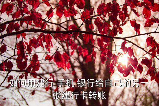 建設手機銀行轉建設銀行怎么轉,建設銀手機銀行