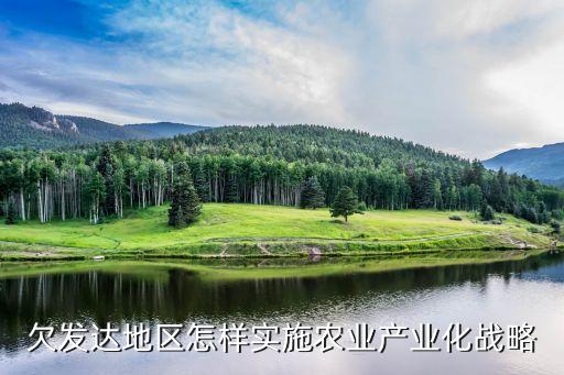 欠發(fā)達(dá)地區(qū)怎樣實施農(nóng)業(yè)產(chǎn)業(yè)化戰(zhàn)略
