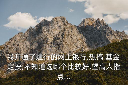 我開通了建行的網(wǎng)上銀行,想搞 基金定投,不知道選哪個比較好,望高人指點(diǎn)...