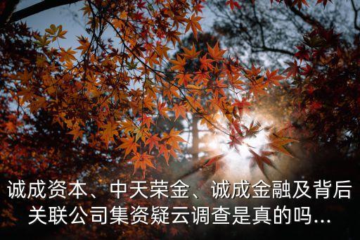 誠成資本、中天榮金、誠成金融及背后關(guān)聯(lián)公司集資疑云調(diào)查是真的嗎...