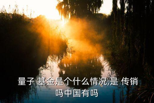  量子 基金是個(gè)什么情況,是 傳銷嗎中國有嗎