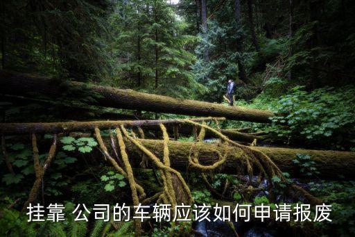 鳳陽(yáng)汽車(chē)掛靠公司轉(zhuǎn)讓