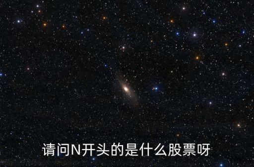 請(qǐng)問N開頭的是什么股票呀