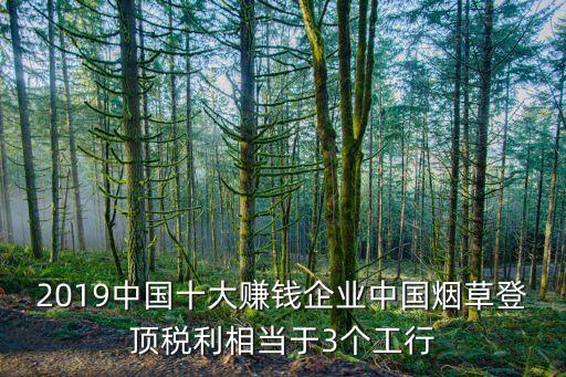 2019中國(guó)十大賺錢(qián)企業(yè)中國(guó)煙草登頂稅利相當(dāng)于3個(gè)工行