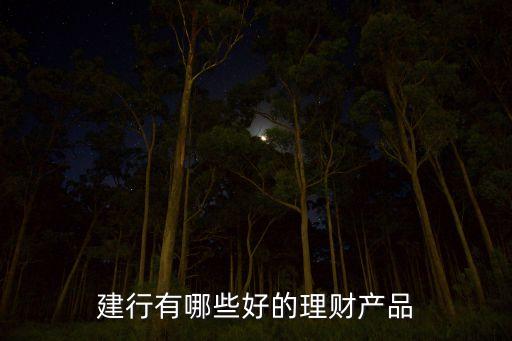 建設銀行哪種基金好