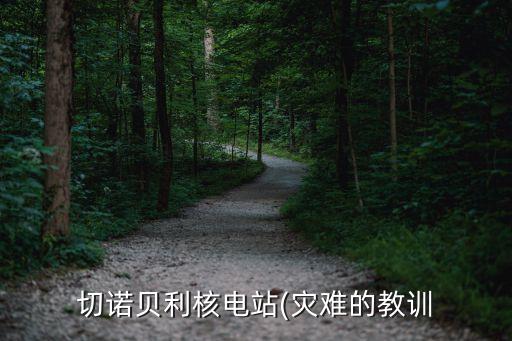 切諾貝利核電站(災難的教訓