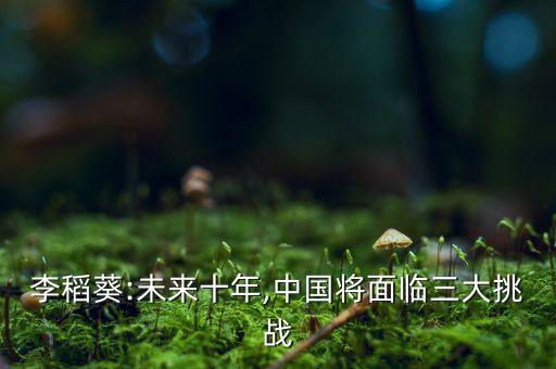 李稻葵:未來(lái)十年,中國(guó)將面臨三大挑戰(zhàn)