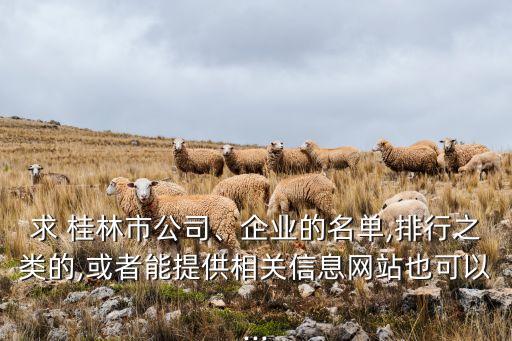 求 桂林市公司、企業(yè)的名單,排行之類的,或者能提供相關信息網(wǎng)站也可以...