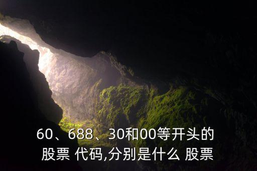 60、688、30和00等開頭的 股票 代碼,分別是什么 股票