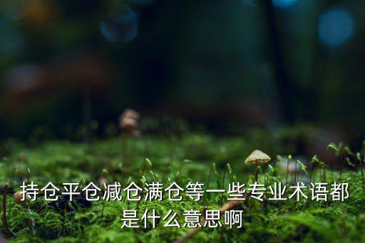  持倉(cāng)平倉(cāng)減倉(cāng)滿(mǎn)倉(cāng)等一些專(zhuān)業(yè)術(shù)語(yǔ)都是什么意思啊