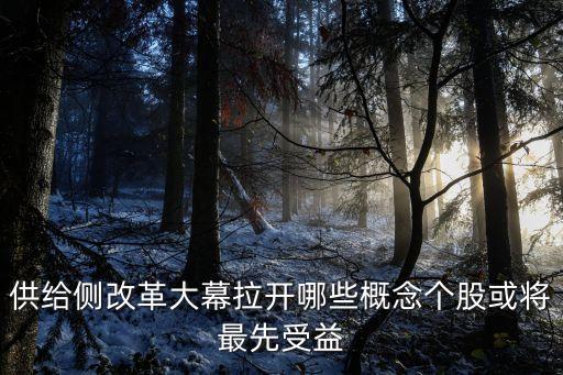 供給側改革大幕拉開哪些概念個股或?qū)⒆钕仁芤? class=