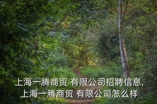  上海一騰商貿 有限公司招聘信息, 上海一騰商貿 有限公司怎么樣