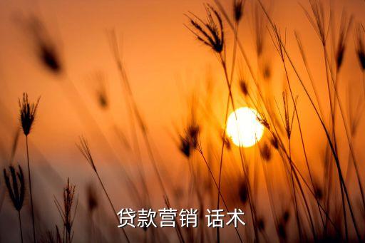 貸款營(yíng)銷 話術(shù)