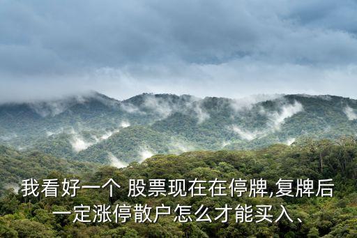 我看好一個 股票現(xiàn)在在停牌,復牌后一定漲停散戶怎么才能買入、