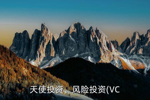 天使投資、風(fēng)險投資(VC