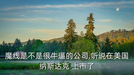 魔線(xiàn)是不是很牛逼的公司,聽(tīng)說(shuō)在美國(guó)納斯達(dá)克 上市了