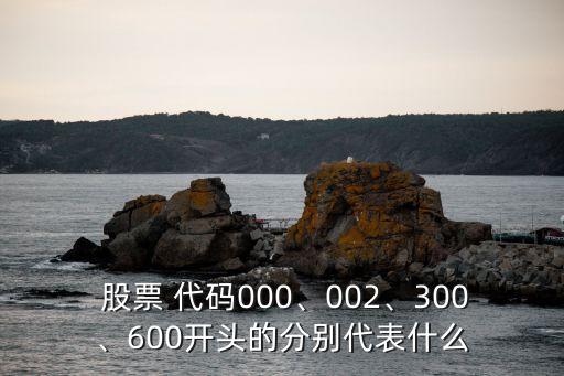  股票 代碼000、002、300、600開頭的分別代表什么