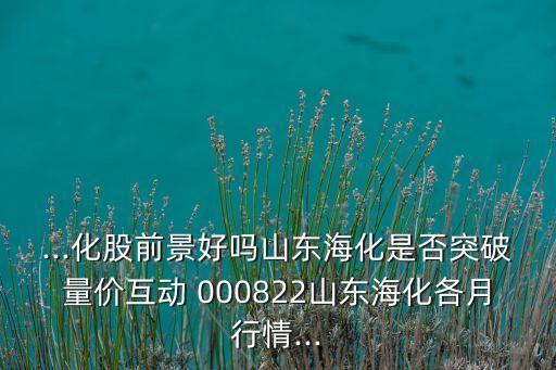 ...化股前景好嗎山東?；欠裢黄屏績r(jià)互動(dòng) 000822山東?；髟滦星?..