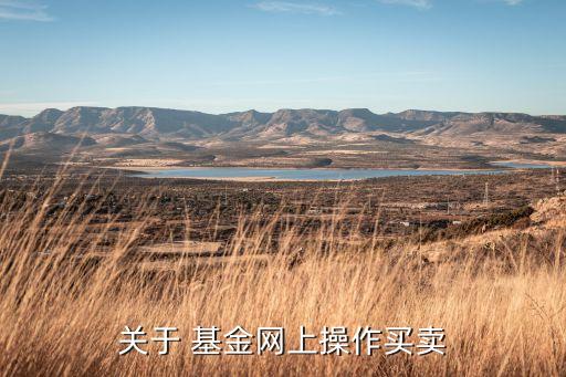 關于 基金網上操作買賣