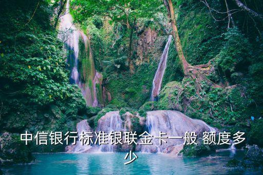  中信銀行標準銀聯金卡一般 額度多少