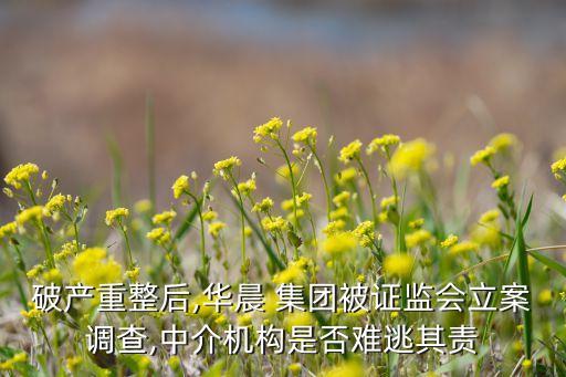 破產(chǎn)重整后,華晨 集團(tuán)被證監(jiān)會立案調(diào)查,中介機(jī)構(gòu)是否難逃其責(zé)