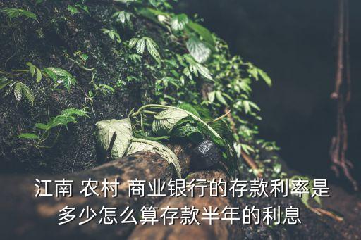江南農村商業(yè)銀行折扣,江蘇江南農村商業(yè)銀行股份有限公司