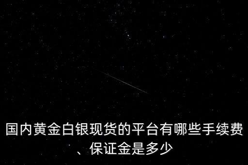 北京中能?chē)?guó)投