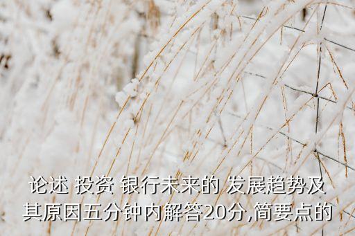論述 投資 銀行未來的 發(fā)展趨勢(shì)及其原因五分鐘內(nèi)解答20分,簡要點(diǎn)的
