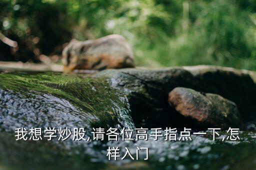 我想學(xué)炒股,請(qǐng)各位高手指點(diǎn)一下,怎樣入門(mén)