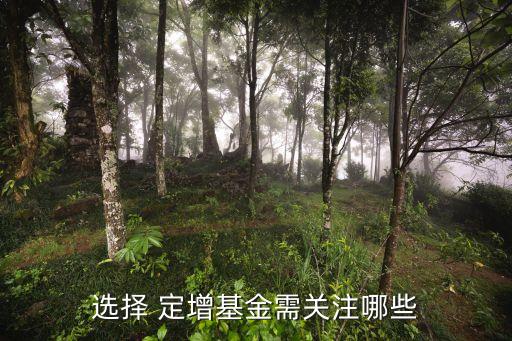 選擇 定增基金需關注哪些