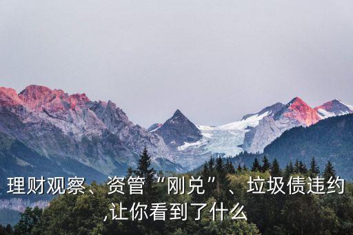 理財觀察、資管“剛兌”、垃圾債違約,讓你看到了什么