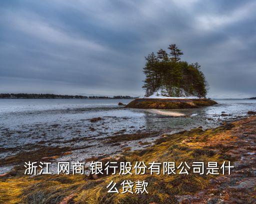 浙江網商銀行產品