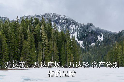 萬達(dá)茂、萬達(dá)廣場、萬達(dá)輕 資產(chǎn)分別指的是啥