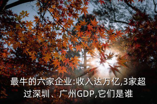 最牛的六家企業(yè):收入達(dá)萬億,3家超過深圳、廣州GDP,它們是誰